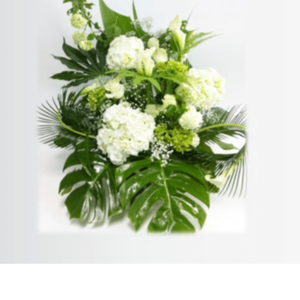Arrangement paix tropicale