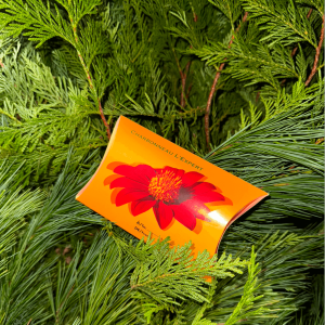 Carte de cadeau