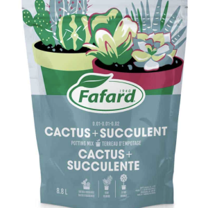 Terreau pour cactus et plantes grasses