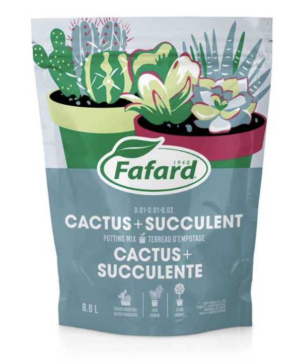 Terreau pour cactus et plantes grasses