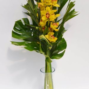 Bouquet orchidées splendides