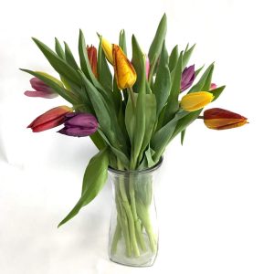 Bouquet de tulipes mélangées