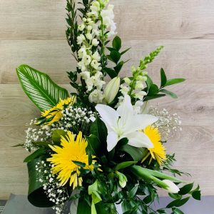 Arrangement Amilio