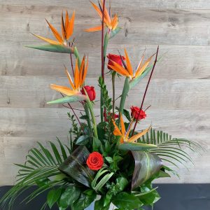 Arrangement paradis tropical