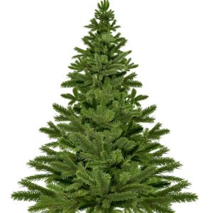 Sapin de Noël