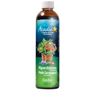 Algue marine Acadie 250ml