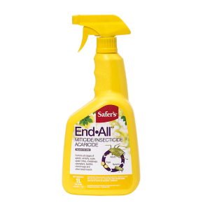End-All 1L