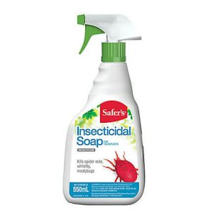 Savon insecticide 1L