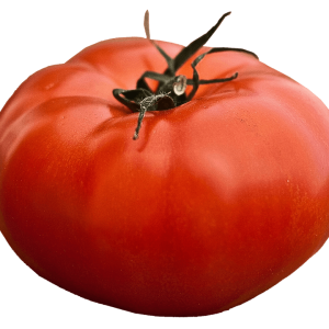 Tomate rouge Big Beef (5po)