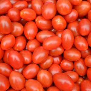 Tomate italienne (5po)