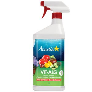 Solution d'algues marines VIT-ALG 1L