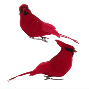 Oiseau cardinal