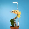 Lampe Réglable Pour Plantes – Image 2