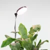 Lampe Réglable Pour Plantes