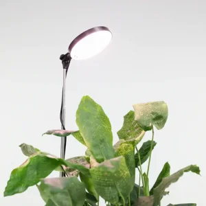 Lampe Réglable Pour Plantes
