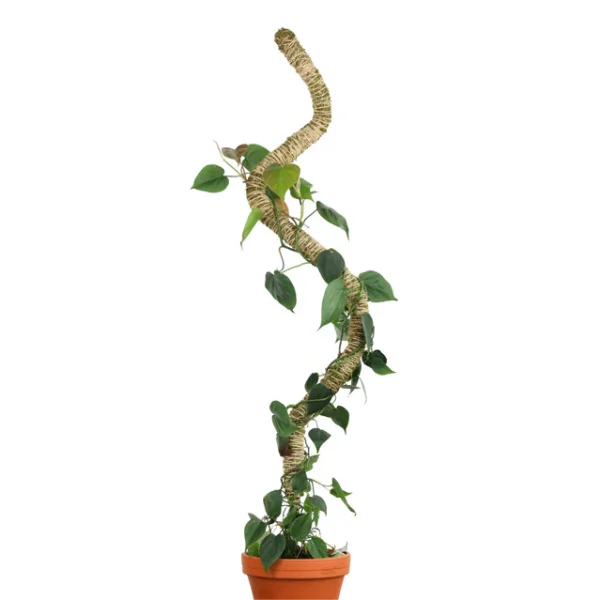 Poteau en Mousse Pliable™ – Image 3