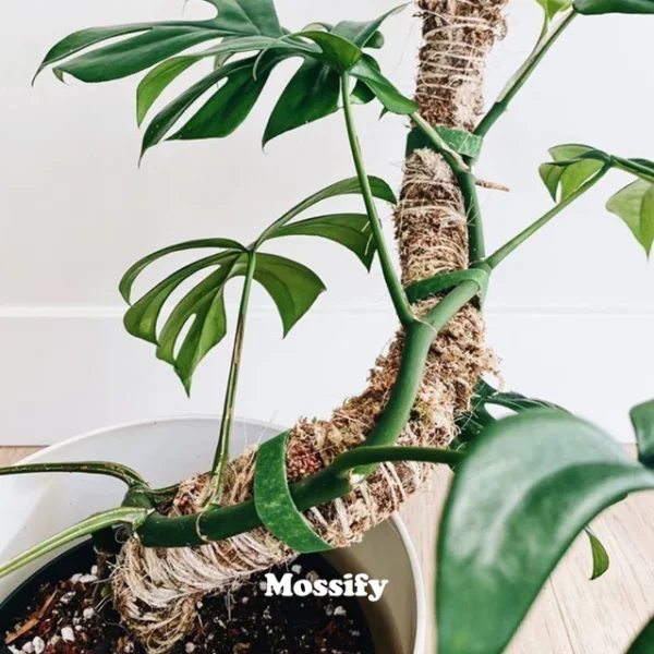 Poteau en Mousse Pliable™ – Image 2