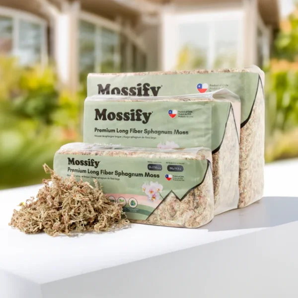 Mousse de Sphaigne de Qualité Supérieure – Image 3