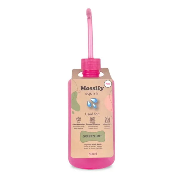 Mossify Squirtr