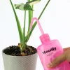 Mossify Squirtr – Image 2